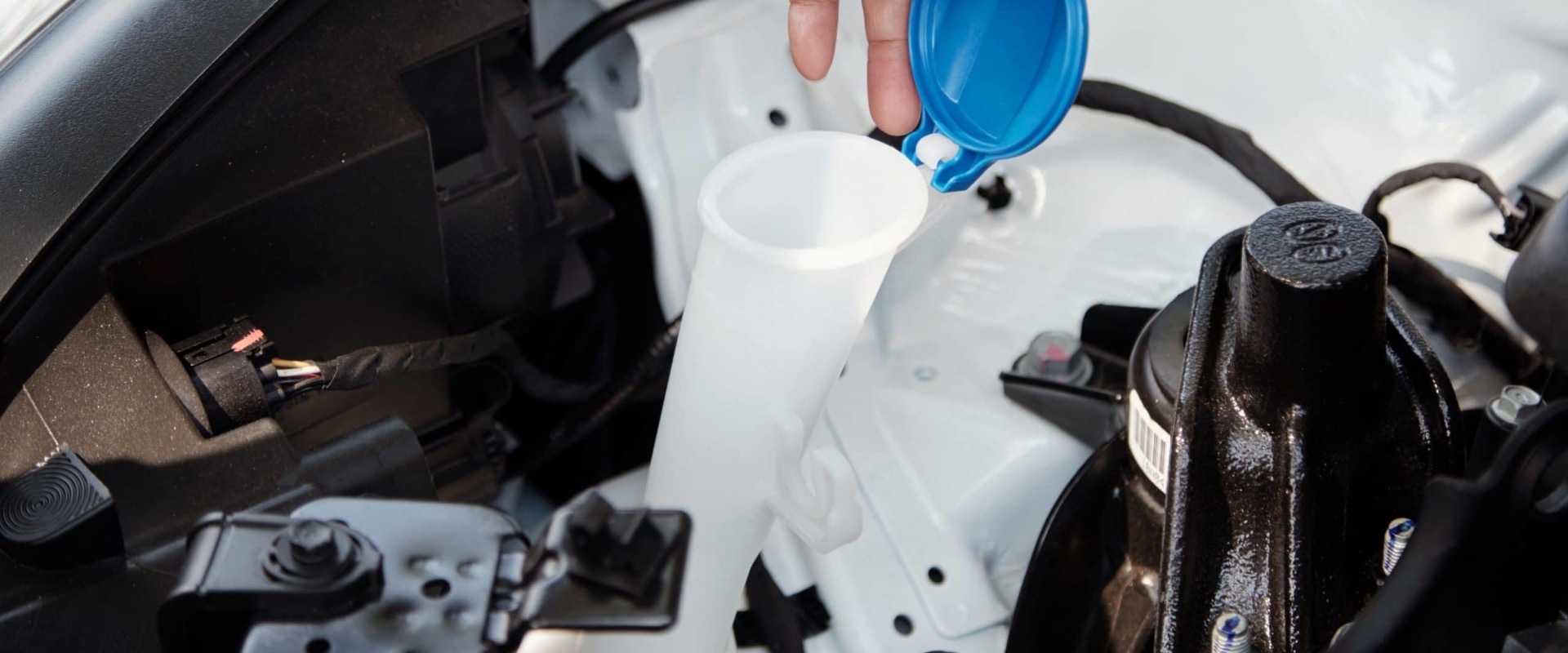 What car fluids should you check regularly?